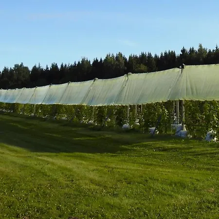 Mornamaa Puumaja Pesae 1 * Morna