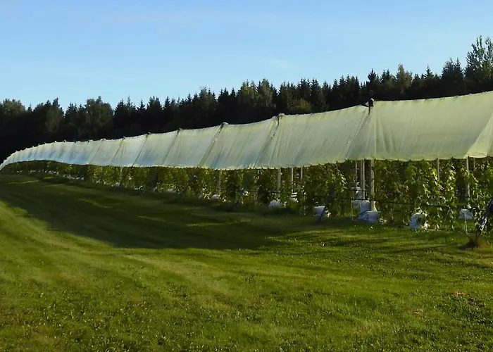 Mornamaa Puumaja Pesae 1 * Morna