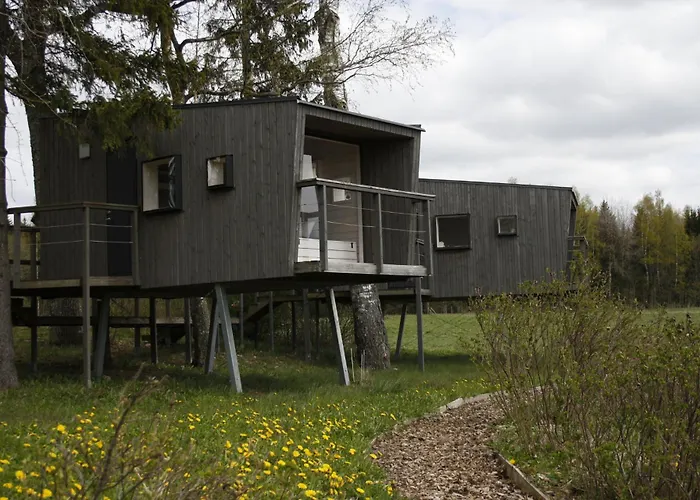 Mornamaa Puumaja Pesae 1 Morna